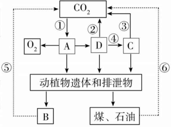 2018年湖南省邵阳市邵东县教师招聘《初中生物》考试题(图12)