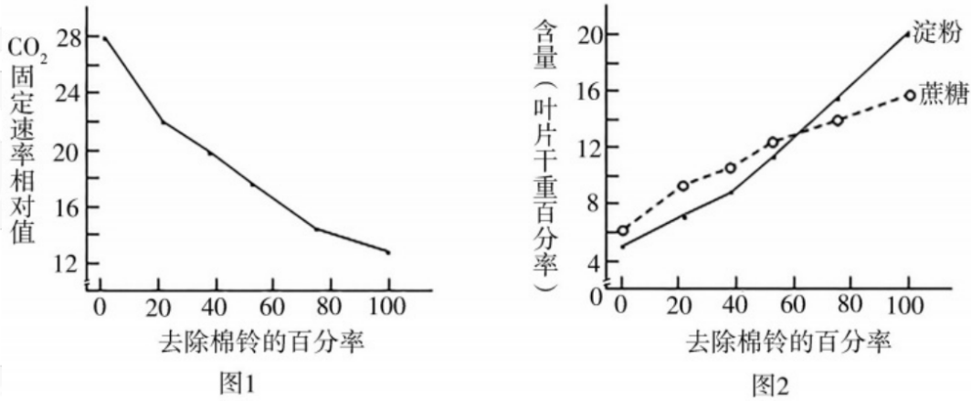 2018年湖南省邵阳市邵东县教师招聘《初中生物》考试题(图21)