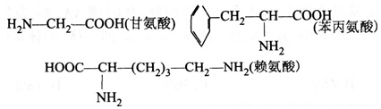 2014年湖北教师招聘考试《中学生物》考试真题及解析(图5)
