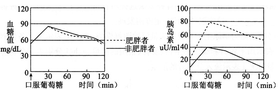2014年湖北教师招聘考试《中学生物》考试真题及解析(图4)