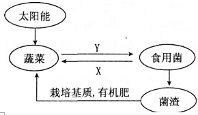 2014年湖北教师招聘考试《中学生物》考试真题及解析(图8)