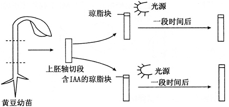 2014年湖北教师招聘考试《中学生物》考试真题及解析(图9)