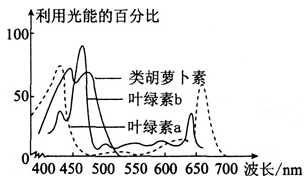2014年湖北教师招聘考试《中学生物》考试真题及解析(图16)