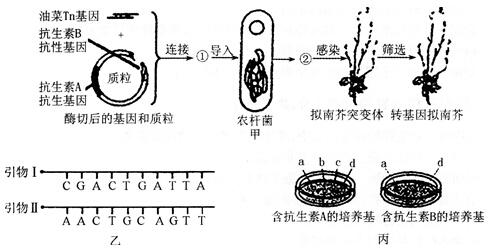 2014年湖北教师招聘考试《中学生物》考试真题及解析(图23)