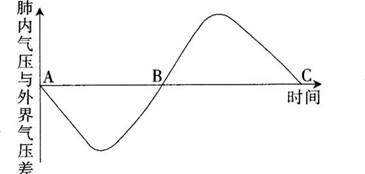 2017年湖北省农村义务教育学校教师招聘考试《中学生物》真题及答案(图1)