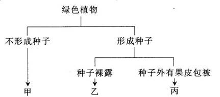 2017年湖北省农村义务教育学校教师招聘考试《中学生物》真题及答案(图3)