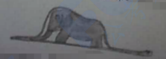 2022年湖北省武汉市江夏区面向社会公开招聘政府购买服务合同制教师《教育综合知识》考试题(图2)