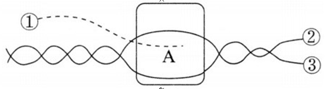 2018年山西省忻州市第一中学教师招聘考试题（中学生物）(图1)