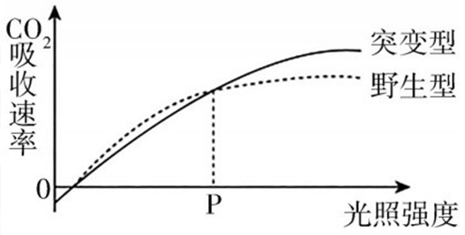 2018年山西省忻州市第一中学教师招聘考试题（中学生物）(图6)