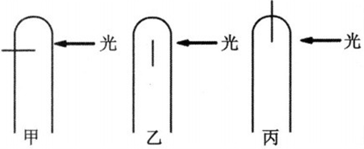2018年山西省忻州市第一中学教师招聘考试题（中学生物）(图10)