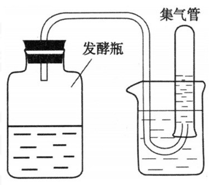 2018年山西省忻州市第一中学教师招聘考试题（中学生物）(图9)