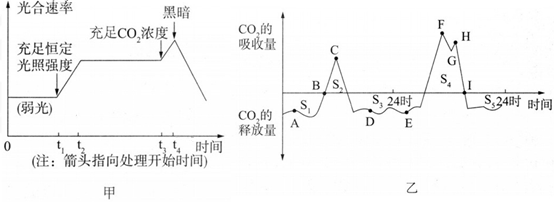 2018年山西省忻州市第一中学教师招聘考试题（中学生物）(图15)