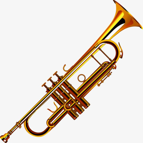 2018年吉林省农村义务教育阶段学校特设岗位招聘考试（中小学音乐）题(图9)