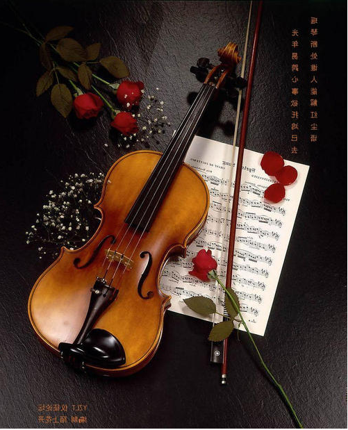 2018年吉林省农村义务教育阶段学校特设岗位招聘考试（中小学音乐）题(图12)