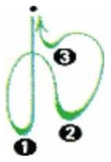 2018年吉林省农村义务教育阶段学校特设岗位招聘考试（中小学音乐）题(图15)