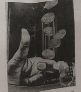 2018年吉林省公主岭事业单位笔试（中学历史）题（精选）(图4)