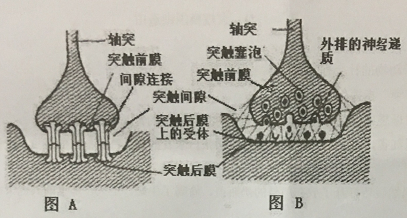 2018年吉林省公主岭市事业单位笔试题（中学生物）（精选）(图5)