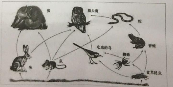 2018年吉林省公主岭市事业单位笔试题（中学生物）（精选）(图6)
