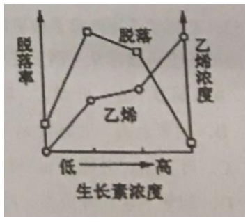 2018年吉林省公主岭市事业单位笔试题（中学生物）（精选）(图13)