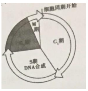 2018年吉林省公主岭市事业单位笔试题（中学生物）（精选）(图12)
