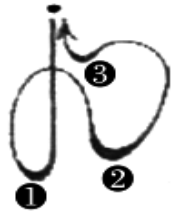 2019年吉林省农村义务教育阶段学校特设岗位招聘考试（中小学音乐）题(图14)