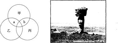 2014年黑龙江双鸭山教师招聘考试《中学地理》考试真题及答案(图12)