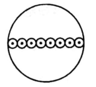 2019年吉林省农村义务教育阶段学校特设岗位招聘《中学生物》第Ⅱ卷考试题(图1)