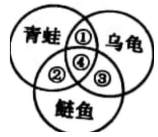 2019年吉林省农村义务教育阶段学校特设岗位招聘《中学生物》第Ⅱ卷考试题(图3)