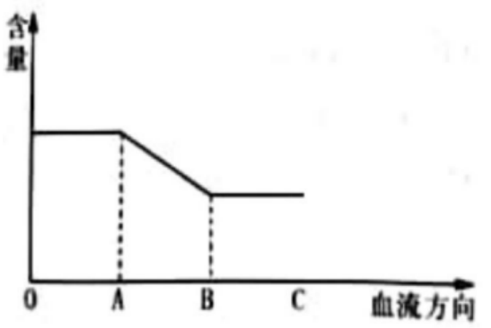 2019年吉林省农村义务教育阶段学校特设岗位招聘《中学生物》第Ⅱ卷考试题(图4)