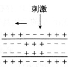 2014年黑龙江教师招聘考试《中学生物》考试真题及解析(图3)