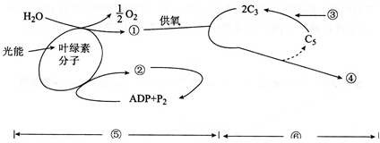 2014年黑龙江教师招聘考试《中学生物》考试真题及解析(图7)