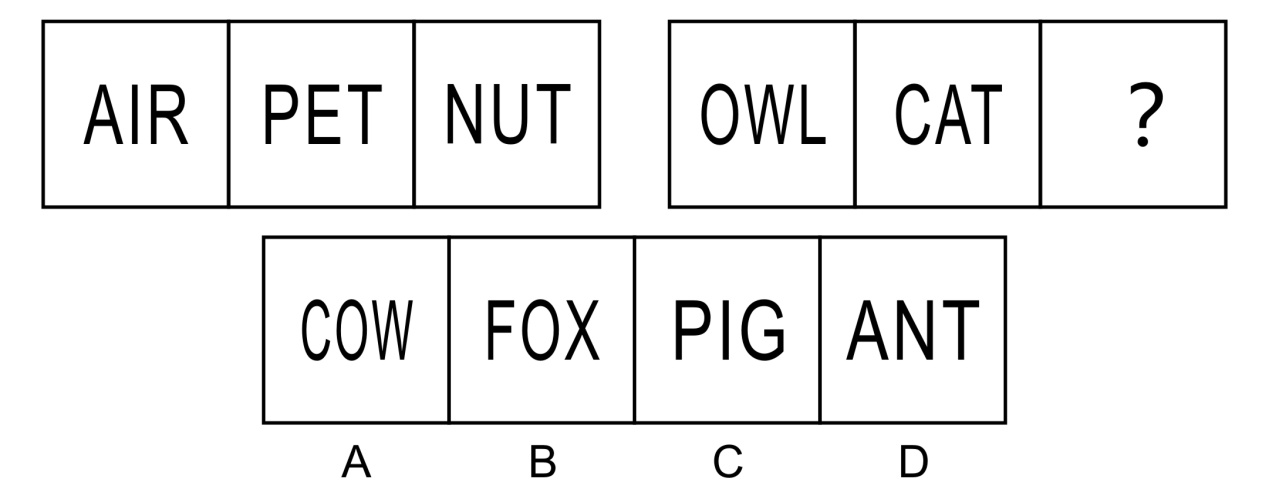 2018年4月1日广东省深圳市公安局招聘警务辅助人员考试《行政职业能力测验》题(图12)