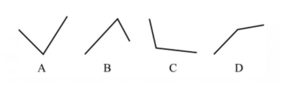 2024年广东省广州市白云山风景名胜区管理局分支机构第1次公开招聘考试笔试试题（网友回忆版）(图7)