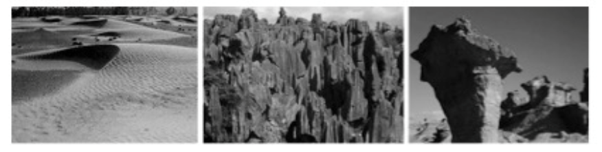 2020年7月25日全国事业单位联考E类《职业能力倾向测验》题（安徽/湖北/内蒙古/青海/甘肃/广西/宁夏/云南/四川网友回忆版）(图54)