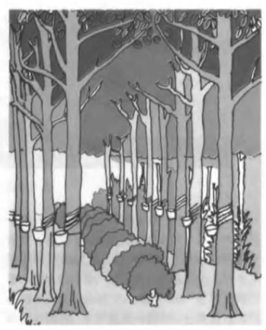 2024年3月30日全国事业单位联考C类《职业能力倾向测验》试题（黑龙江/上海/辽宁/云南/海南/贵州/广西/重庆/天津/江西/山西/湖北/吉林/青海/宁夏/新疆/陕西/四川/安徽网友回忆版）(图1)