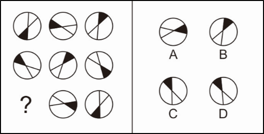 2020年上海市公安机关辅警招聘考试《职业能力倾向测试》精选题(图2)