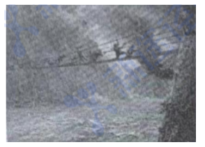 2022年11月20日辽宁省大连市事业单位《职业能力倾向测验》笔试试题（网友回忆版）(图4)