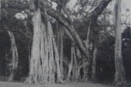 2025年4月26日浙江省事业单位统考《职业能力倾向测验》笔试试题（网友回忆版）(图39)