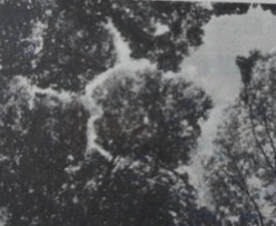 2025年4月26日浙江省事业单位统考《职业能力倾向测验》笔试试题（网友回忆版）(图40)