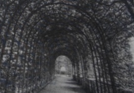 2025年4月26日浙江省事业单位统考《职业能力倾向测验》笔试试题（网友回忆版）(图41)