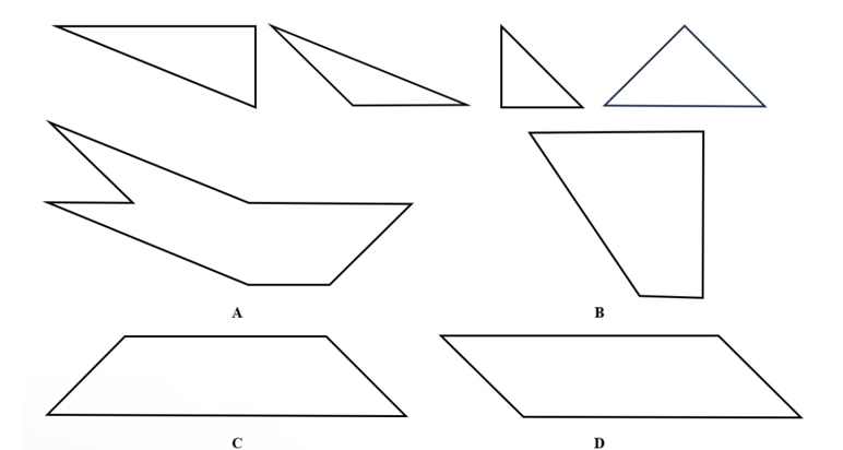 2025年军队文职统一考试（公共科目）试题（网友回忆版）(图7)