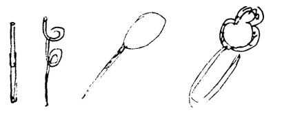 2016上半年教师资格证考试《幼儿保教知识与能力》真题及答案(图2)