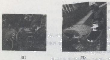 2018年下半年教师资格证考试《保教知识与能力》（幼儿园）真题(图1)