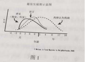 2019年上半年教师资格证考试《综合素质》（幼儿园）真题（考生回忆版）(图1)