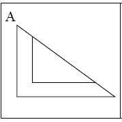2019年下半年教师资格考试《综合素质》（幼儿园）真题(图7)