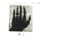 2015下半年教师资格证考试《小学综合素质》真题及答案(图2)