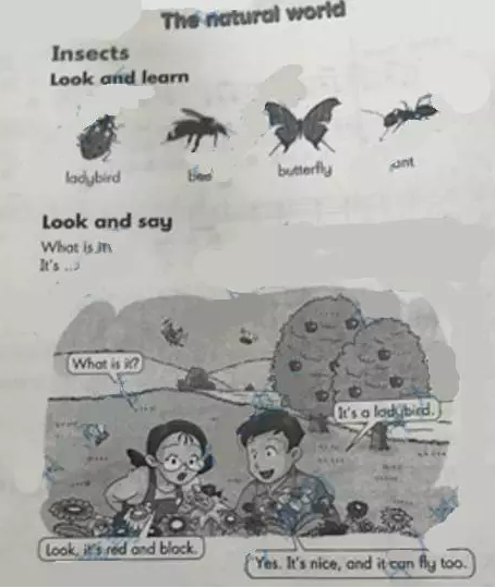 2016下半年教师资格证考试《小学教育教学知识与能力》真题及答案(图3)