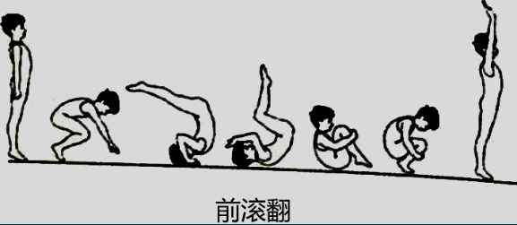 2016上半年教师资格证考试《小学教育教学知识与能力》真题及答案(图6)