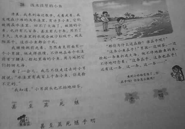 2018上半年教师资格证考试《小学教育教学知识与能力》真题及答案（已完整）(图1)