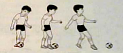 2022年下半年教师资格证考试《教育教学知识与能力》（小学）题（考生回忆版）(图6)